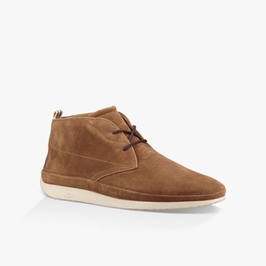 Ugg Cali Chukka Stövlar Herr Bruna (537894CLB)